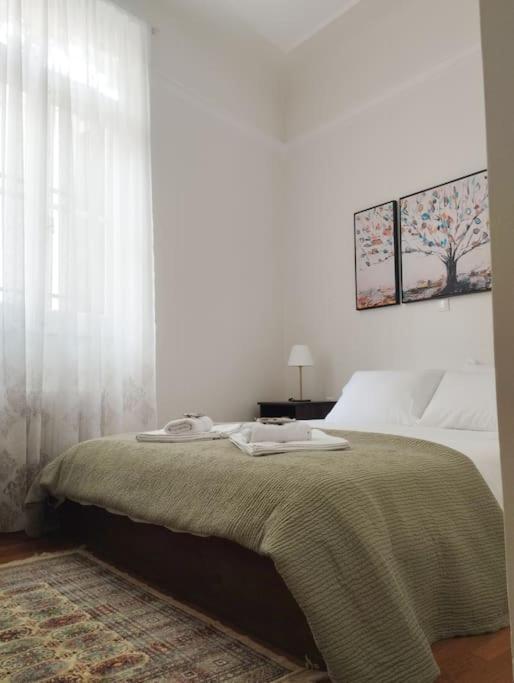 Calliope'S Neoclassical Home In The Heart Of Plaka Athens Ngoại thất bức ảnh